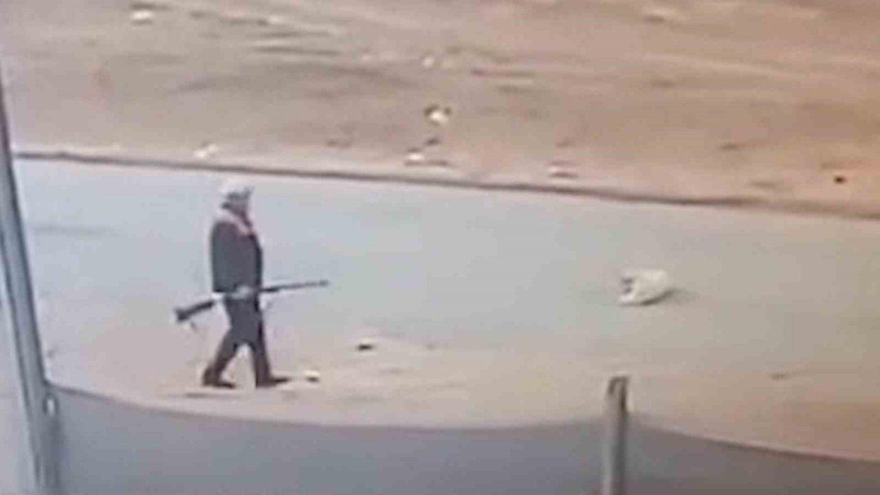 71 Yaşındaki Vatandaş, Sahipsiz Köpeği Av Tüfeğiyle Vurarak Öldürdü