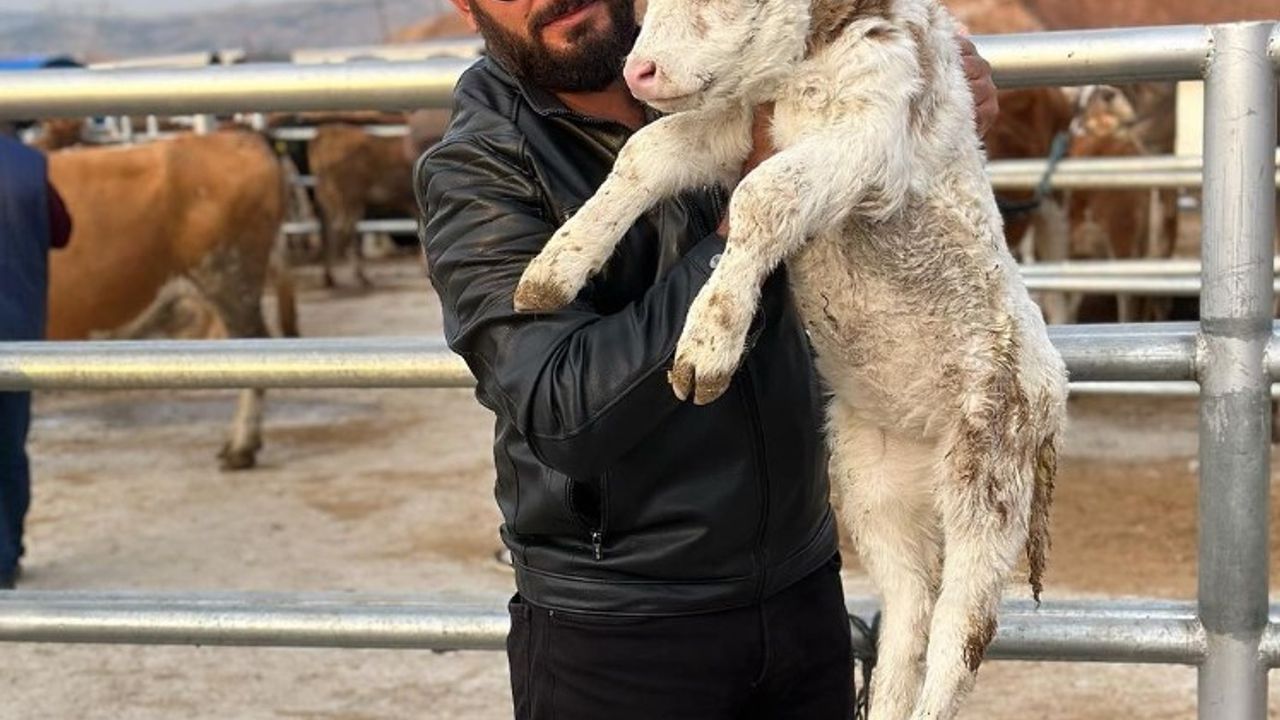"Hobi olarak başladı, Türkiye’nin dört bir yanına hayvan satıyor: Çankırı’da Çiftçilikten Gelen Başarı Hikayesi"