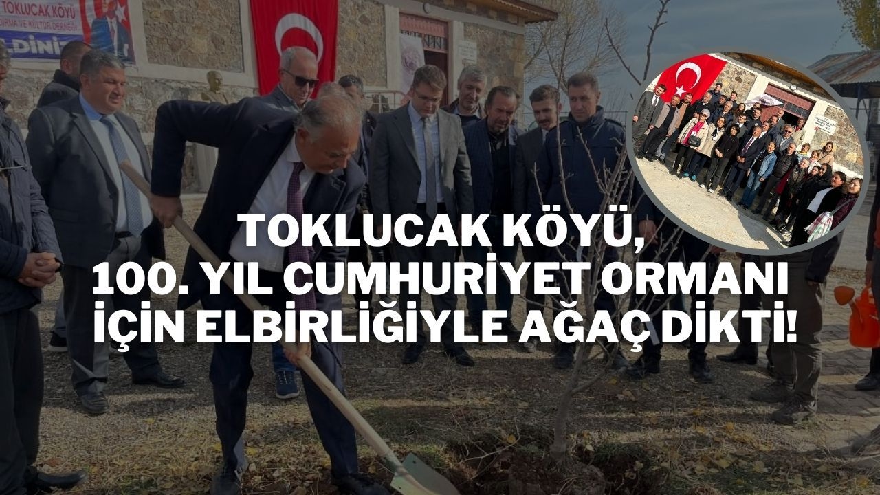 Toklucak Köyü, 100. Yıl Cumhuriyet Ormanı İçin Elbirliğiyle Ağaç Dikti!