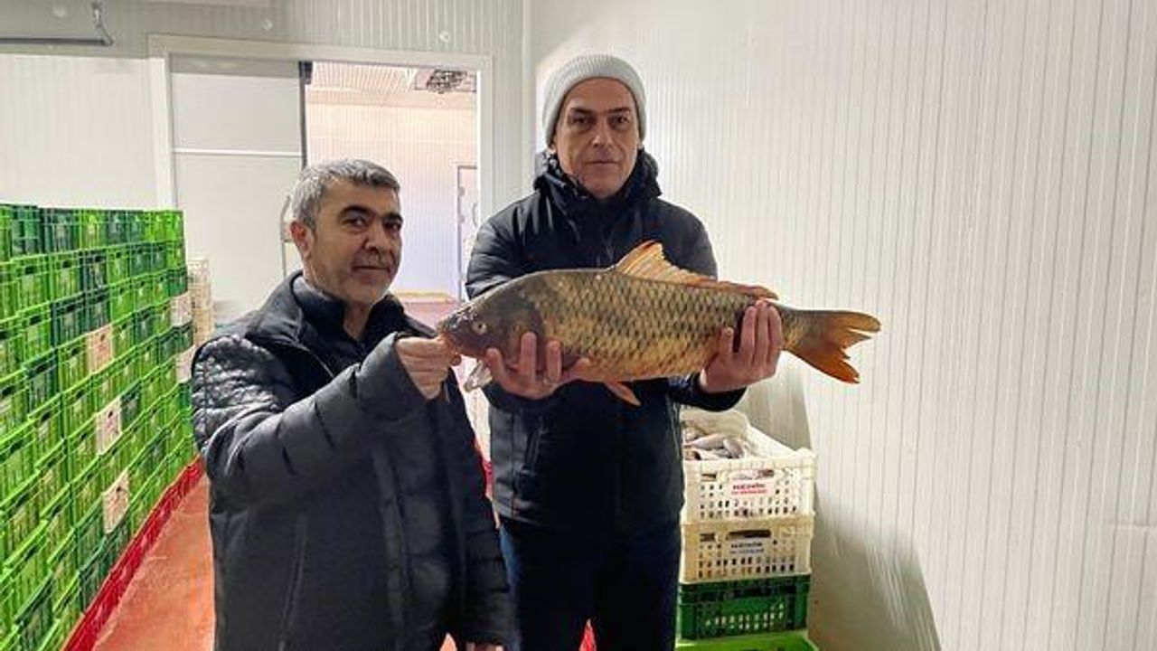 Beyşehir Gölü'nde balık avı denetimleri sıklaştırıldı