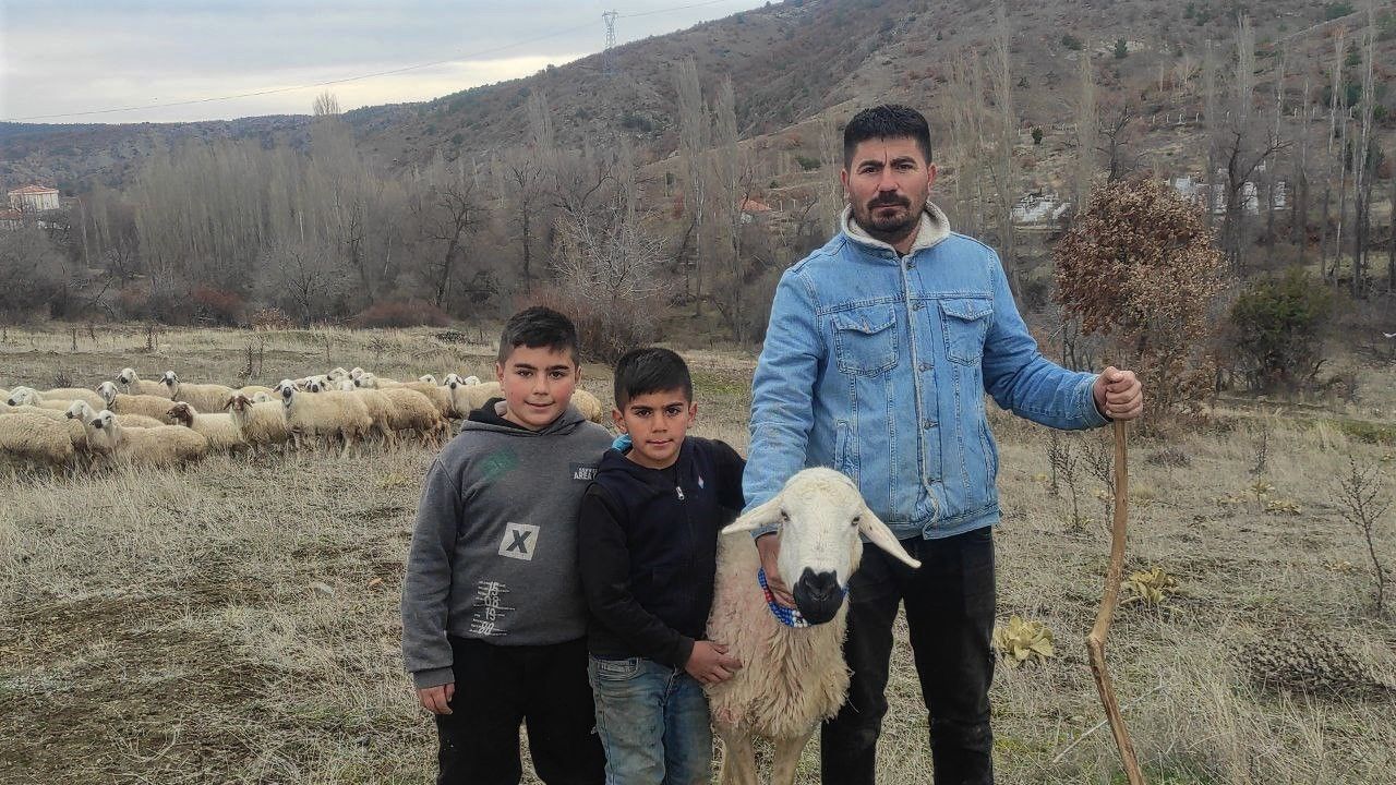 İstanbul'dan Köyüne Dönen Zafer Kuru, Koyun Yetiştiricisi Olarak Geçimini Sağlıyor