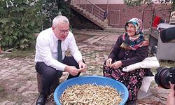 Kuşburnu kaynatıp  fasülye ayıkladı