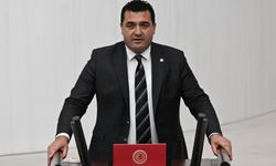 KARASU: ÇİFÇTİNİN KARA GÜN DOSTU KABUSU OLMASIN