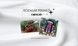 KOZALAK PEKMEZİ NEDİR, NASIL YAPILIR VE FAYDALARI NELERDİR