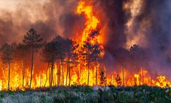Orman yangınları kalp krizini tetikliyor