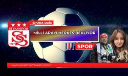 MİLLİ ARAYI HERKES BEKLİYOR