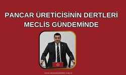 Pancar Üreticisinin Dertleri Meclis Gündeminde