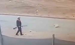 71 Yaşındaki Vatandaş, Sahipsiz Köpeği Av Tüfeğiyle Vurarak Öldürdü