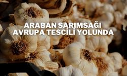 Araban Sarımsağı Avrupa Tescili Yolunda