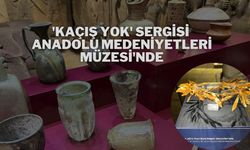'Kaçış Yok' Sergisi Anadolu Medeniyetleri Müzesi'nde
