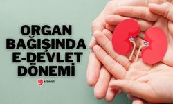 Organ Bağışında E-Devlet Dönemi