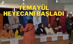 Temayül Heyecanı Başladı