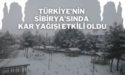 Türkiye’nin Sibirya’sında Kar Yağışı Etkili Oldu
