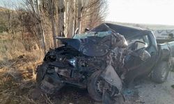 Kamyonet Ağaca Çarptı, Sürücü Hayatını Kaybetti