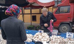 Mantar Yoğun İlgi Görüyor