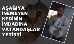 Sivas'ta Aşağıya İnemeyen Kedinin İmdadına Vatandaşlar Yetişti