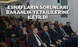 Esnafların Sorunları Bakanlık Yetkililerine İletildi