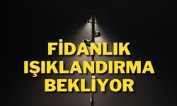 Fidanlık Işıklandırma Bekliyor