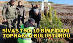 Sivas TSO, 10 Bin Fidanı Toprakla Buluşturdu