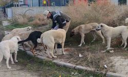 Polisler Sokak Hayvanlarını Elleriyle Besledi