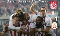 Aslan Sivas'ta Ağır Yaralı