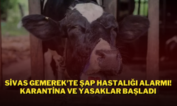 Sivas Gemerek'te Şap Hastalığı Alarmı! Karantina ve Yasaklar Başladı