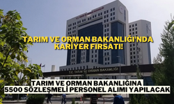 Tarım ve Orman Bakanlığı'nda kariyer fırsatı! Tarım Ve Orman Bakanlığına 5500 Sözleşmeli Personel Alımı Yapılacak