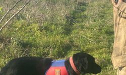 İz Takip Köpeğinin Dahil Olduğu Arama Kurtarma Operasyonu: Kayıp Zihinsel Engelli Adam Bulundu