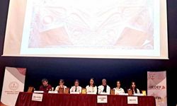 Sivas'ta Liselerde Bilim Uygulamaları Programı Kapsamında Kültürel Miras Paneli Düzenlendi