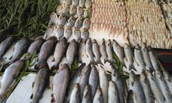 Balık Yasakları Fiyatları Uçurdu: İstavrit 200 TL'ye Çıktı!