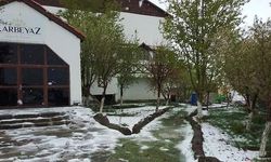 Aksaray'da Ani Soğuk Havayla Gelen Kar Yağışı Üreticileri Tedirgin Ediyor