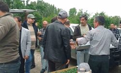 Eskişehir'de Domates Bereketi: 250 Çiftçiye 370 Bin Domates Fidanı Dağıtıldı