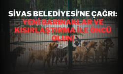 Sivas Belediyesi'ne Çağrı: Yeni Barınaklar ve Kısırlaştırma ile Öncü Olun!