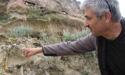 Kayseri'de 10 Milyon Yıllık Ağaç Fosilleri Keşfedildi: Türkiye'de Neredeyse Bu Kadar Güzel Korunmuş Başka Bölge Yok!
