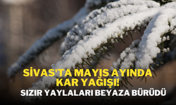 Sivas'ta Mayıs Ayında Kar Yağışı! Sızır Yaylaları Beyaza Bürüdü