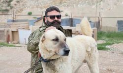Kangal Yetiştiricisi Hüseyin Yıldız'dan Köpeklerde Kene Uyarısı