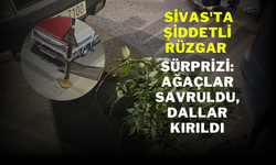 Sivas'ta Şiddetli Rüzgar Sürprizi: Ağaçlar Savruldu, Dallar Kırıldı