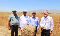 Niğde Ömer Halisdemir Üniversitesi'nde Buğday Hasadı Başladı