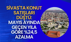 Sivas'ta Konut Satışları Düştü: Mayıs Ayında Geçen Yıla Göre %24,5 Azalma