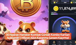 30 Haziran Hamster Kombat Günlük Kombo Kartları Açıklandı! 5 Milyon Altın Kazanma Şansını Kaçırma!