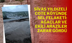 Sivas Yıldızeli Cote Köyünde Sel Felaketi: Ağaçlar ve Ekili Araziler Zarar Gördü