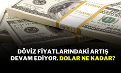 Döviz fiyatlarındaki artış devam ediyor. Dolar ne kadar?