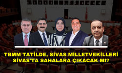 TBMM Tatilde, Sivas Milletvekilleri Sivas'ta Sahalara Çıkacak Mı?