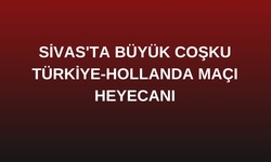 Sivas'ta Büyük Coşku: Türkiye-Hollanda Maçı Heyecanı