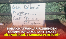 Sokak Hayvanları Üzerinden Yardım Toplama Tartışması: Dilencilik mi, Yardımseverlik mi?