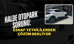 Halde Otopark Sorunu: Esnaf Yetkililerden Çözüm Bekliyor