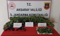 "Aksaray’da Uyuşturucu Operasyonu: Yasa Dışı Kenevir Ekimi Yapan Şüpheli Yakalandı"