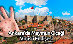 Ankara'da Maymun Çiçeği Virüsü Endişesi