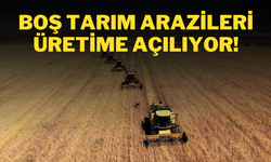 Boş Tarım Arazileri Üretime Açılıyor!