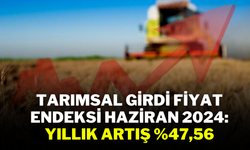 Tarımsal Girdi Fiyat Endeksi Haziran 2024: Yıllık Artış %47,56